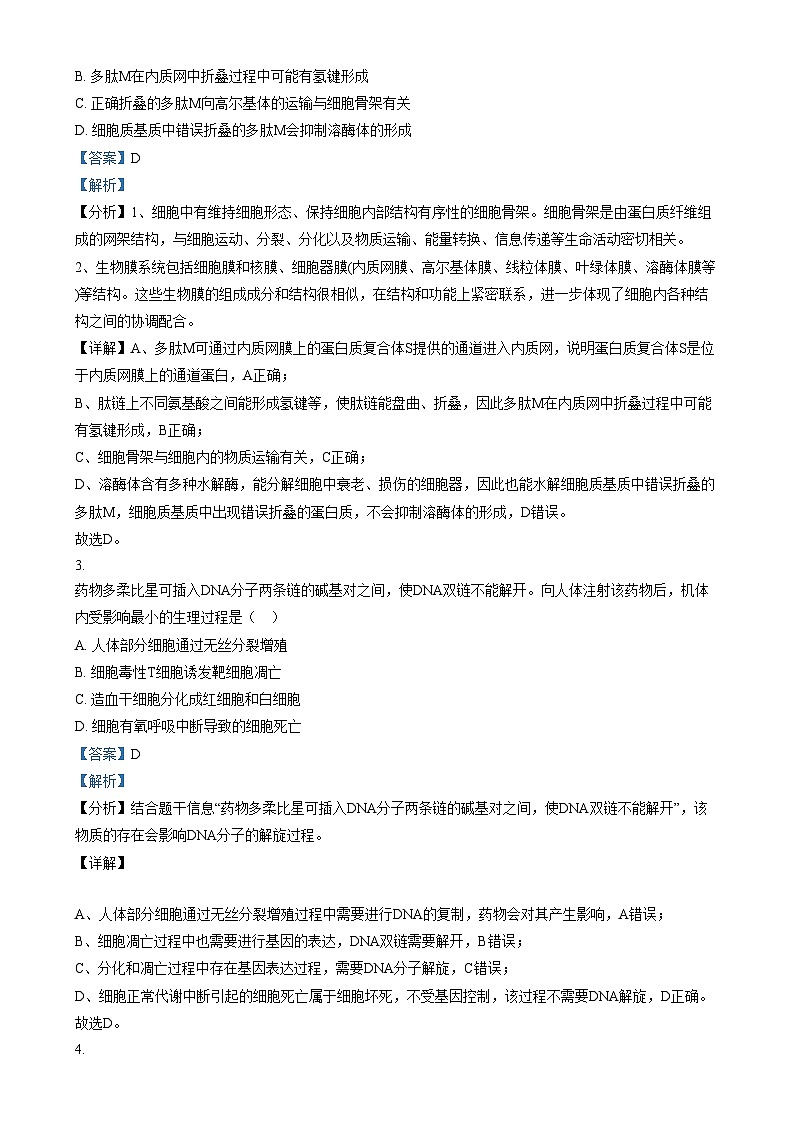 2025届安徽省芜湖市镜湖区安徽师范大学附属中学高三二模生物试题  Word版含解析第2页