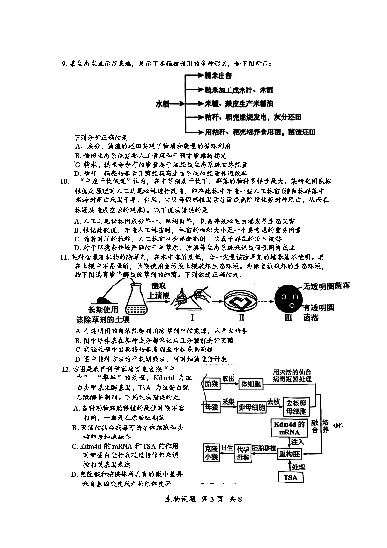 广东省惠州市2025届高三上学期第三次调研考试（惠州三调）生物试题（Word版附答案）第3页