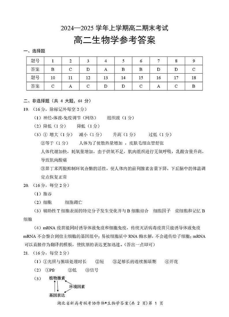 湖北新高考试题研究中心2024—2025 学年上学期联考高二生物 生物答案第1页
