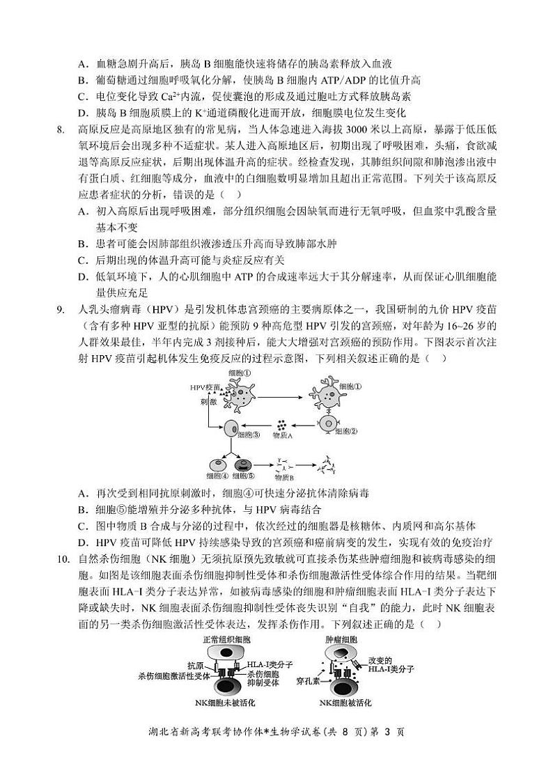 湖北新高考试题研究中心2024—2025 学年上学期联考高二生物 生物试卷第3页