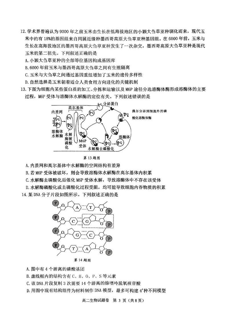 浙江省杭州市2024-2025学年高二上学期期末生物试题第3页