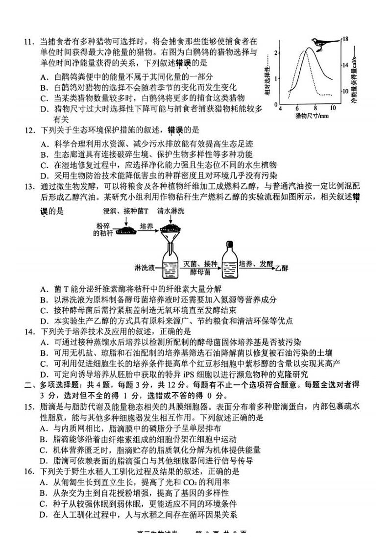 生物试题第3页