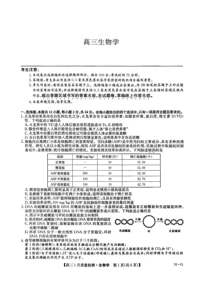 生物-九师联盟2025届高三上学期1月质量检测G试题第1页