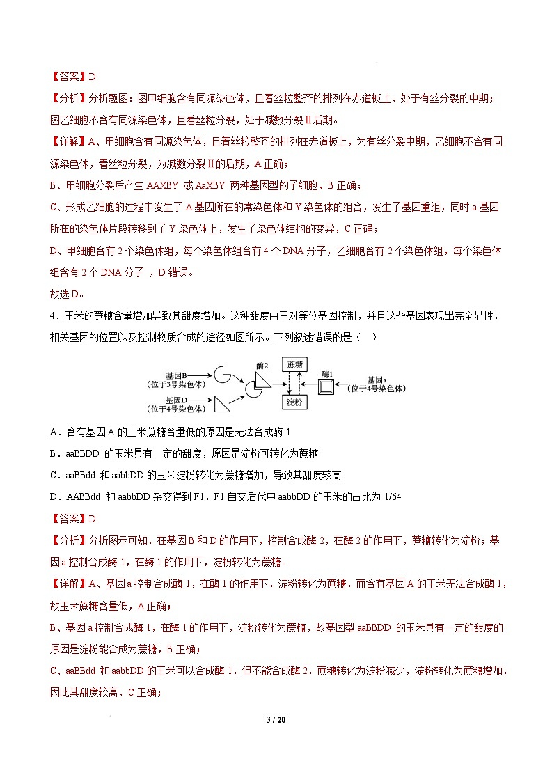 【开学摸底考】高三生物开学摸底考01（新高考通用，）-2024-2025学年高中下学期开学摸底考试卷 01（全解全析）第3页