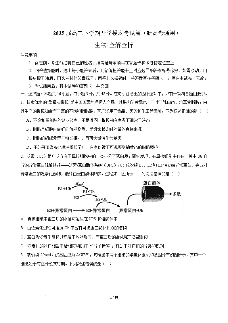 【开学摸底考】高三生物开学摸底考01（新高考通用，）-2024-2025学年高中下学期开学摸底考试卷 01（考试版）第1页