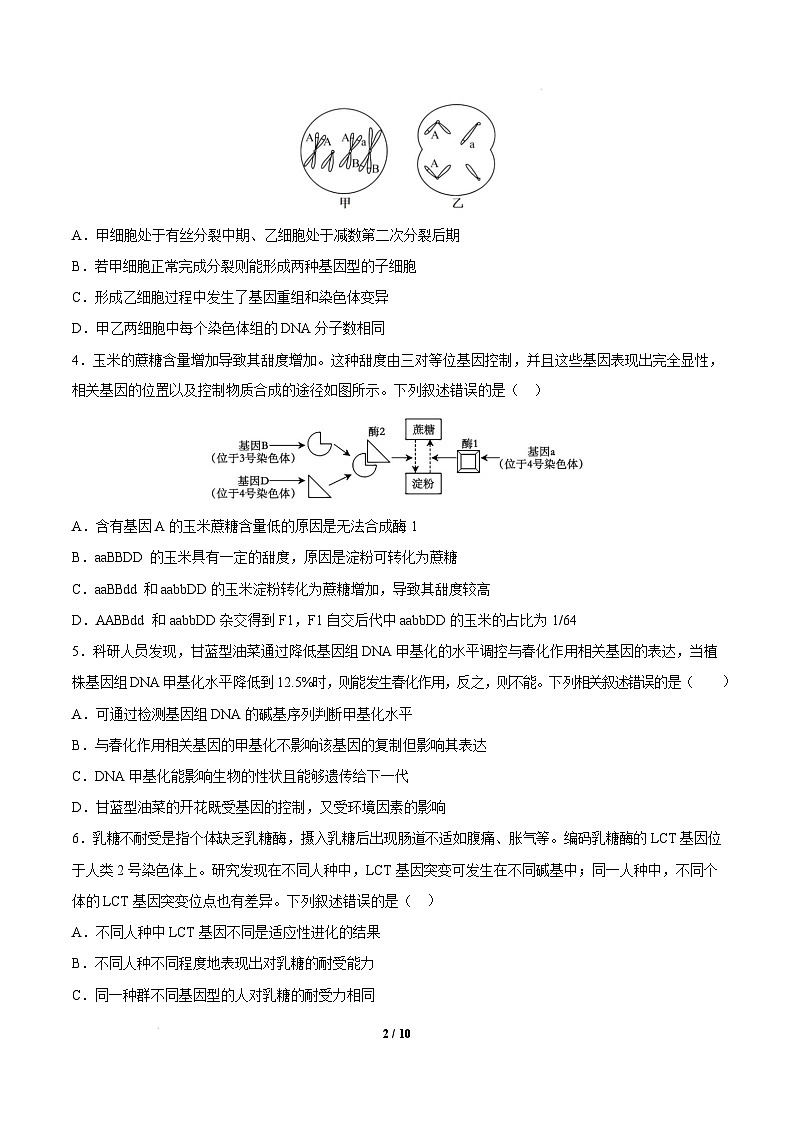 【开学摸底考】高三生物开学摸底考01（新高考通用，）-2024-2025学年高中下学期开学摸底考试卷 01（考试版）第2页