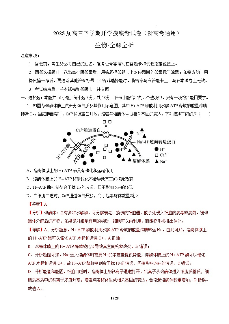 【开学摸底考】高三生物开学摸底考02（新高考通用，）-2024-2025学年高中下学期开学摸底考试卷 02（全解全析）第1页