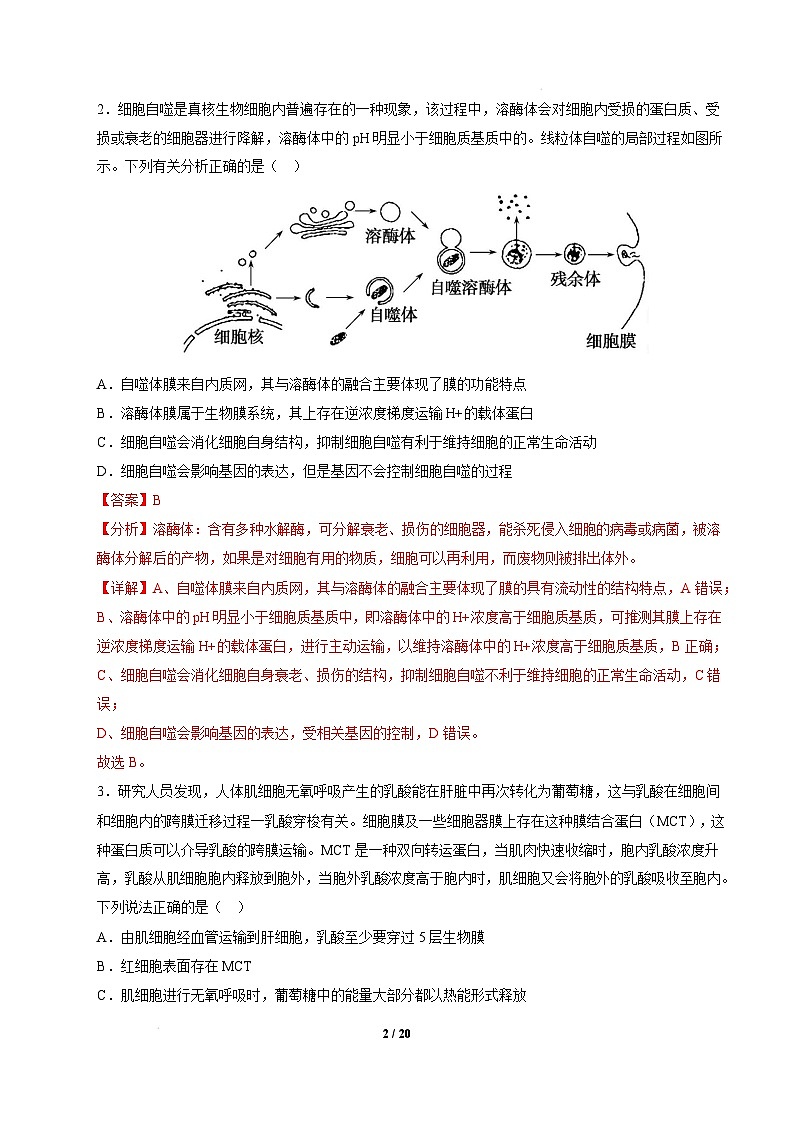 【开学摸底考】高三生物开学摸底考02（新高考通用，）-2024-2025学年高中下学期开学摸底考试卷 02（全解全析）第2页
