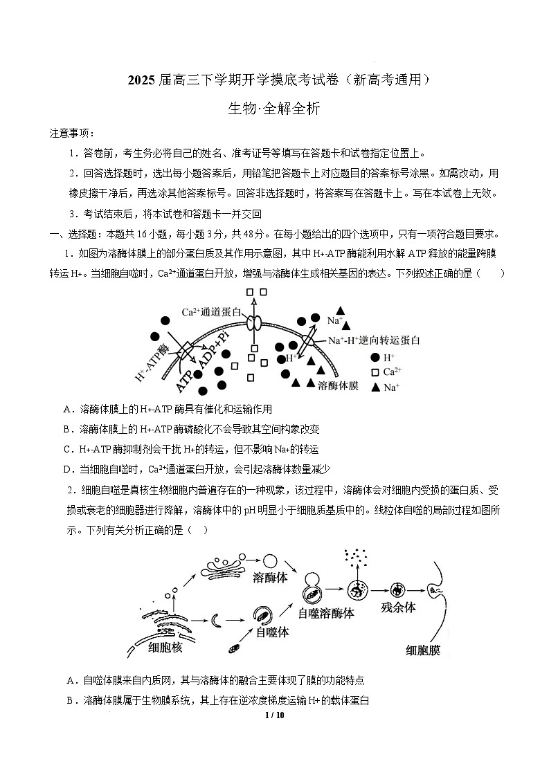 【开学摸底考】高三生物开学摸底考02（新高考通用，）-2024-2025学年高中下学期开学摸底考试卷 02（考试版）第1页