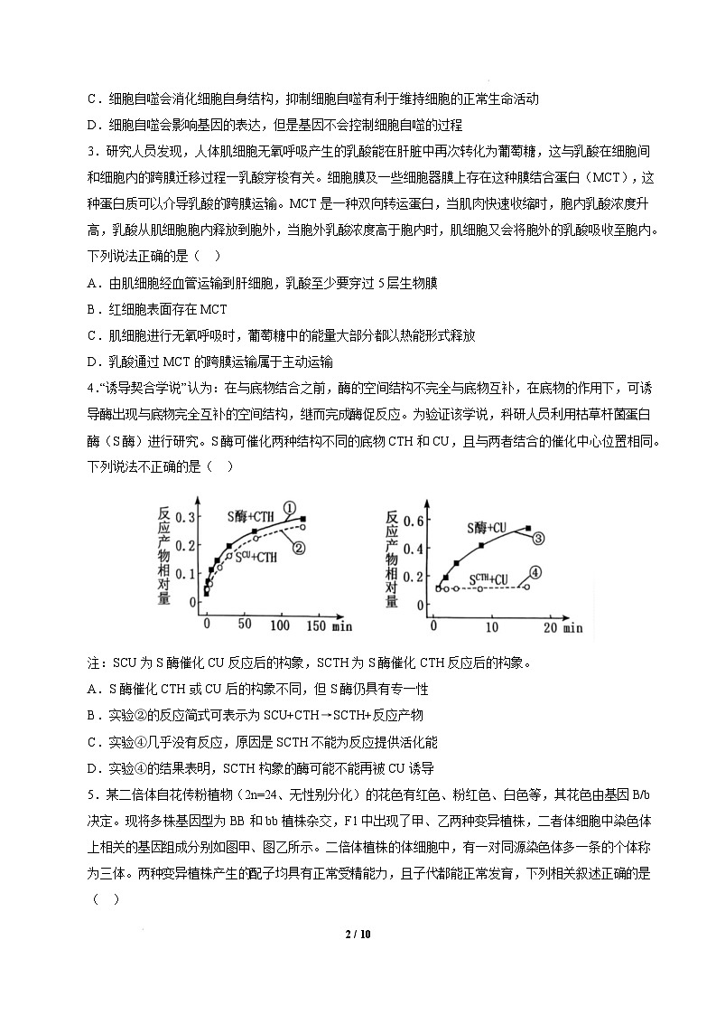 【开学摸底考】高三生物开学摸底考02（新高考通用，）-2024-2025学年高中下学期开学摸底考试卷 02（考试版）第2页