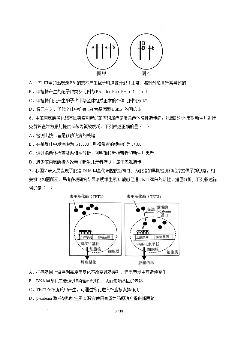 【开学摸底考】高三生物开学摸底考02（新高考通用，）-2024-2025学年高中下学期开学摸底考试卷 02（考试版）第3页