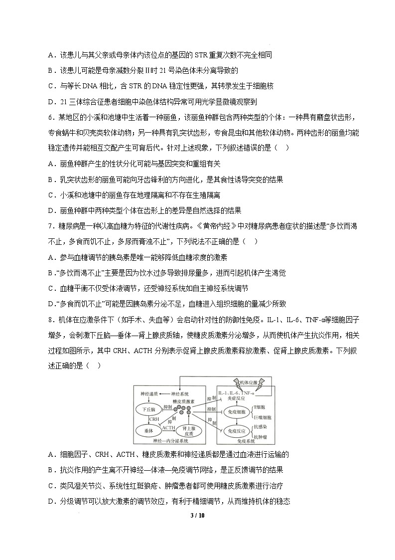 【开学摸底考】高三生物开学摸底考03（新高考通用,）-2024-2025学年高中下学期开学摸底考试卷 03（考试版）第3页