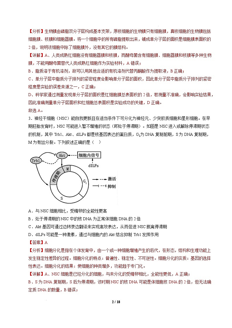 【开学摸底考】高三生物开学摸底考03（新高考通用,）-2024-2025学年高中下学期开学摸底考试卷 03（解析版）第2页