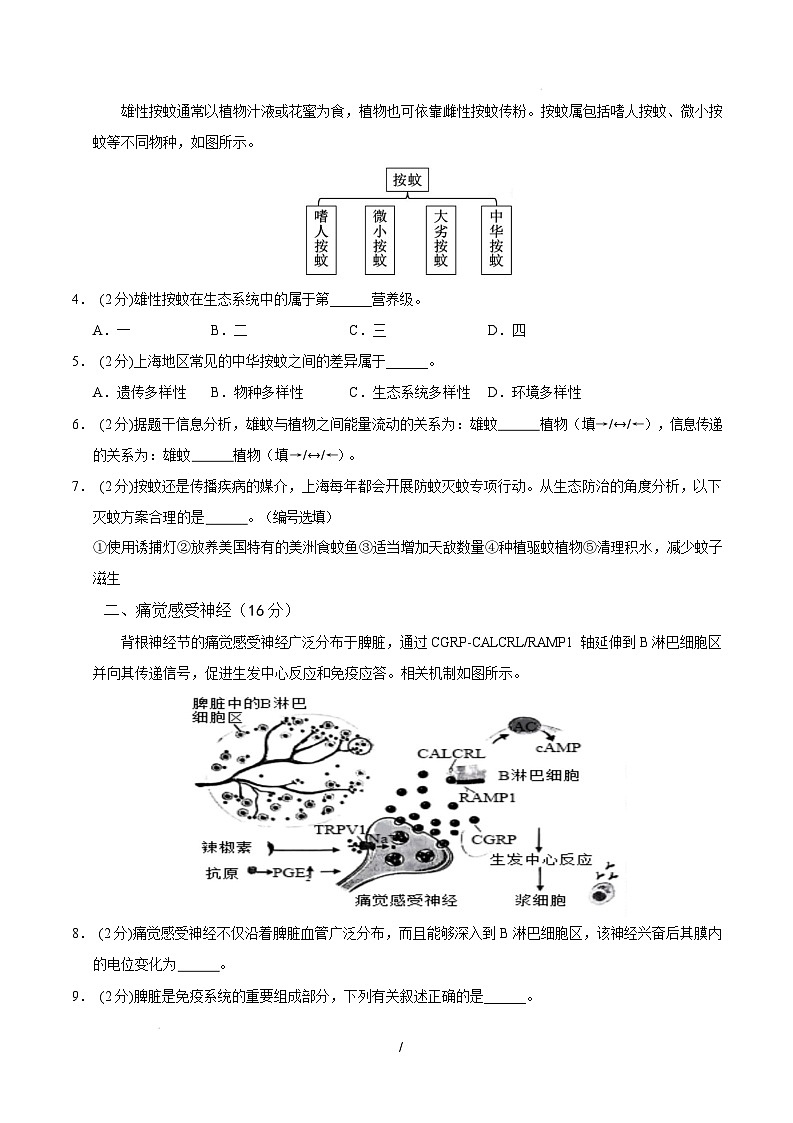【开学摸底考】高三生物开学摸底考（上海专用）（考试版）第2页