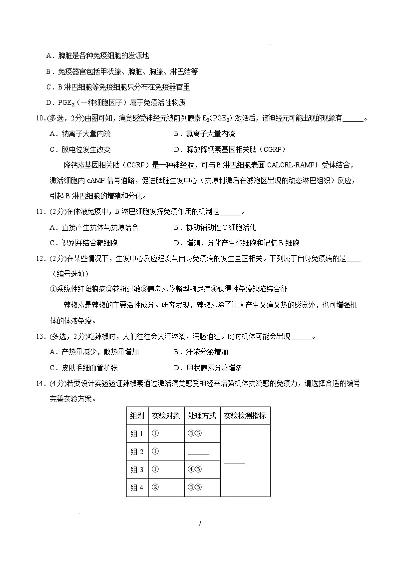 【开学摸底考】高三生物开学摸底考（上海专用）（考试版）第3页