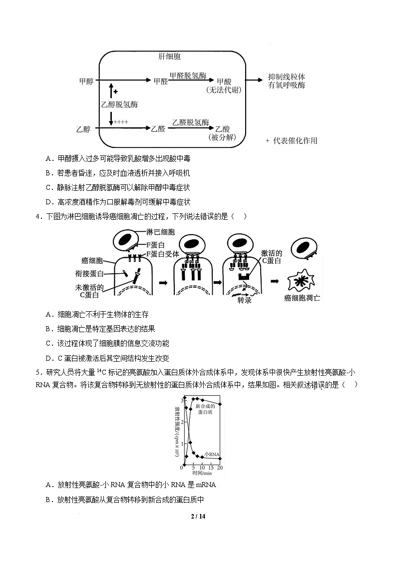 【开学摸底考】高三生物开学摸底考（北京专用）-2024-2025学年高中下学期开学摸底考试卷（考试版）第2页