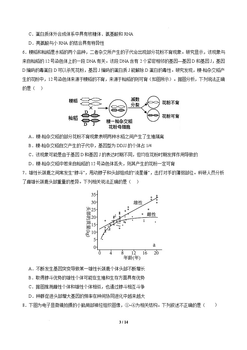 【开学摸底考】高三生物开学摸底考（北京专用）-2024-2025学年高中下学期开学摸底考试卷（考试版）第3页
