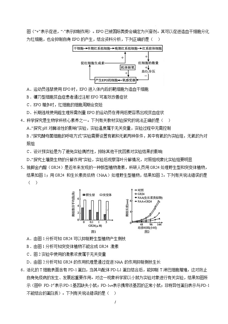 【开学摸底考】高三生物开学摸底考（天津专用）（考试版）第2页