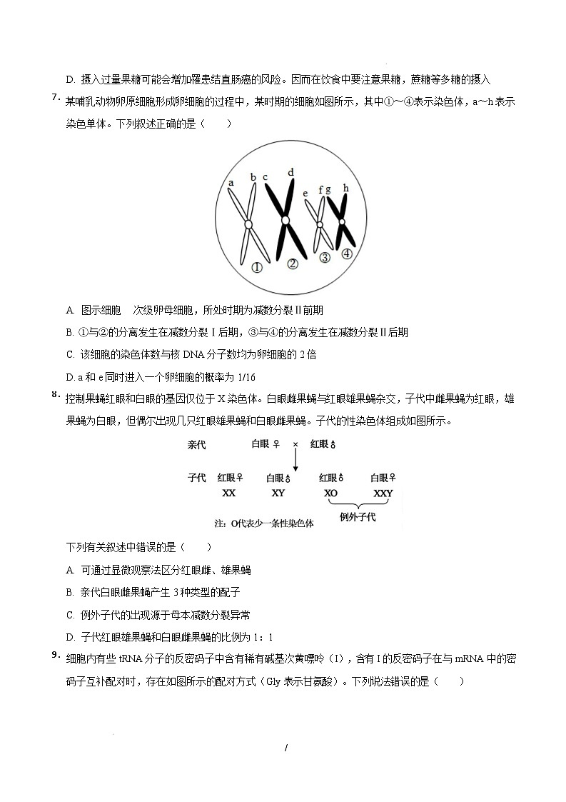【开学摸底考】高三生物开学摸底考（广东专用）（考试版）第3页