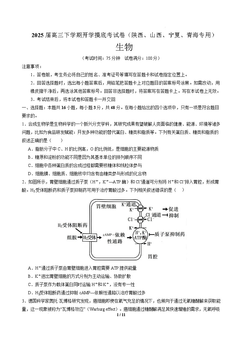【开学摸底考】高三生物开学摸底考（陕西、山西、宁夏、青海专用）-2024-2025学年高中下学期开学摸底考试卷（考试版）第1页