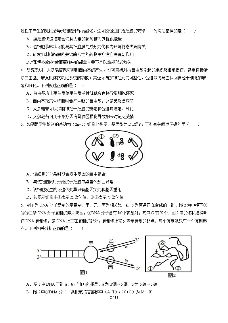 【开学摸底考】高三生物开学摸底考（陕西、山西、宁夏、青海专用）-2024-2025学年高中下学期开学摸底考试卷（考试版）第2页