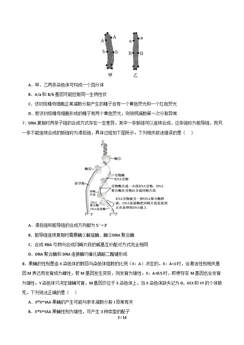 【开学摸底考】高三生物开学摸底考（黑吉辽蒙专用）（考试版）第3页