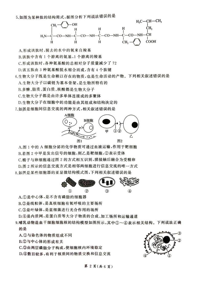 2025平凉静宁县六校联考高一上学期1月期末考试生物PDF版含解析第2页