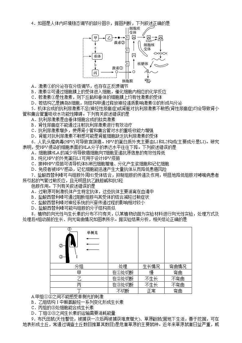 湖南省长沙市湖南师范大学附属中学2024-2025学年高一上学期1月期末生物试题第2页