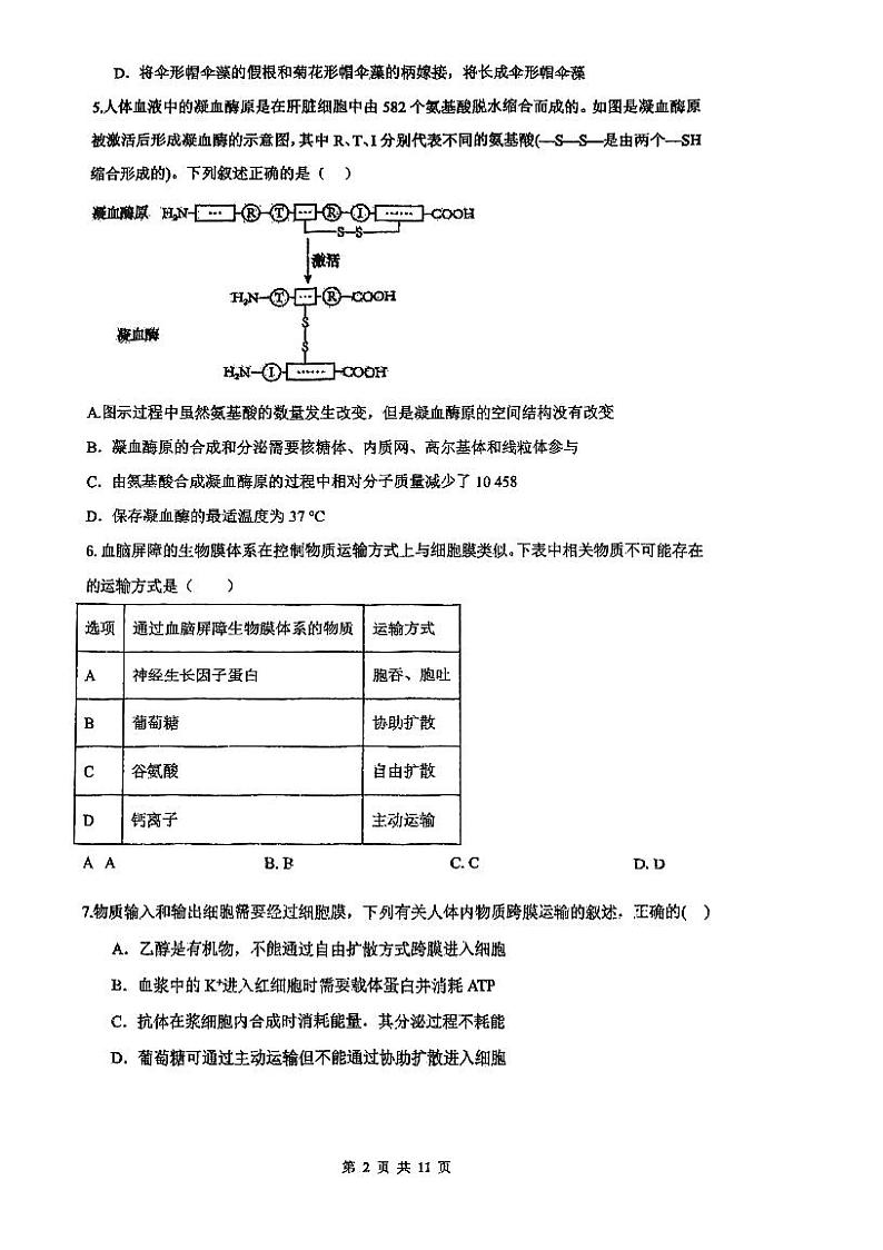 2025长春十一高中高一上学期第三学程考试生物PDF版含答案第2页