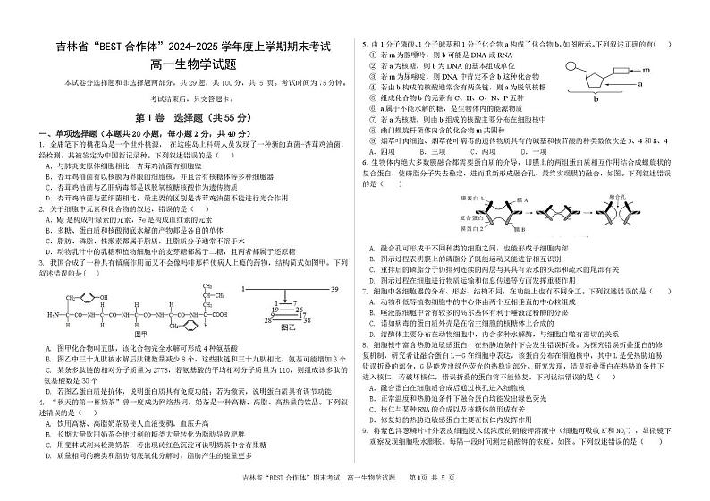 2025“BEST合作体”高一上学期期末考试生物PDF版含答案第1页