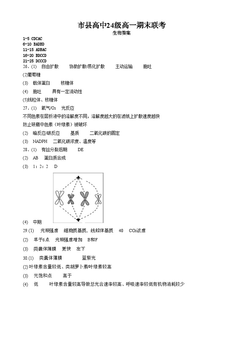 生物眉山市县高中24级高一期末联考生物答案第1页