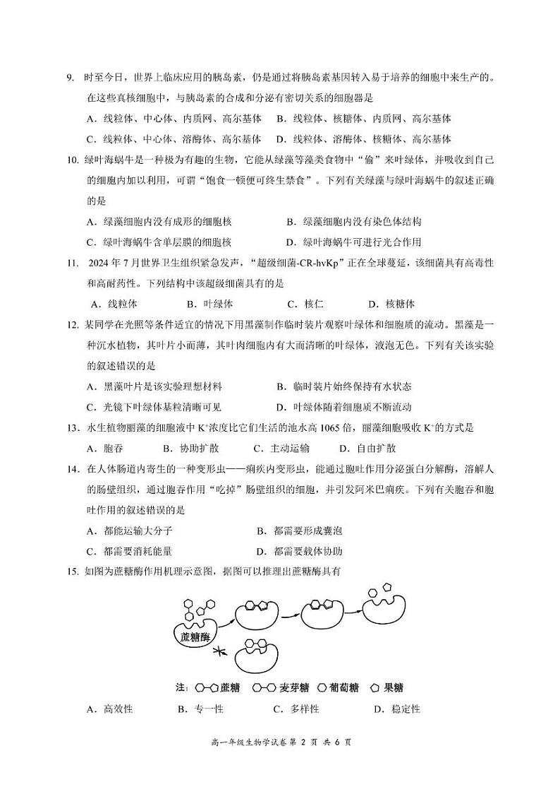 南宁市2024学年度秋季学期教学质量调研高一生物学试题第2页