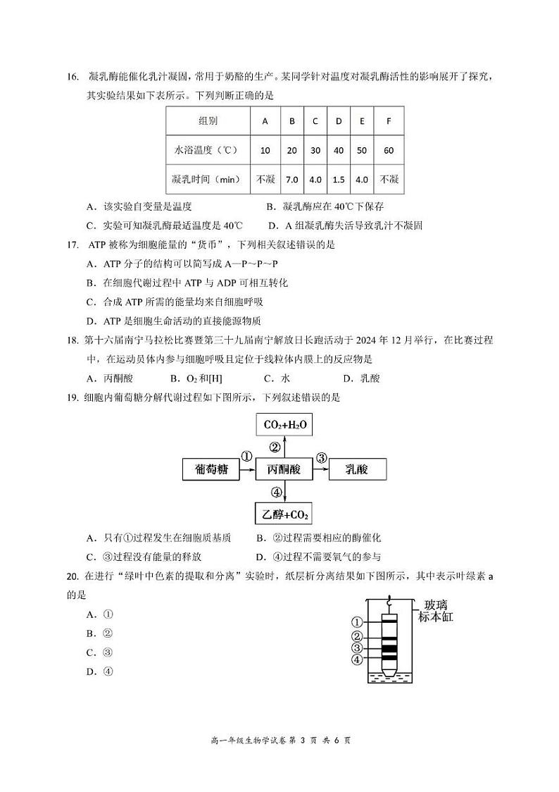 南宁市2024学年度秋季学期教学质量调研高一生物学试题第3页