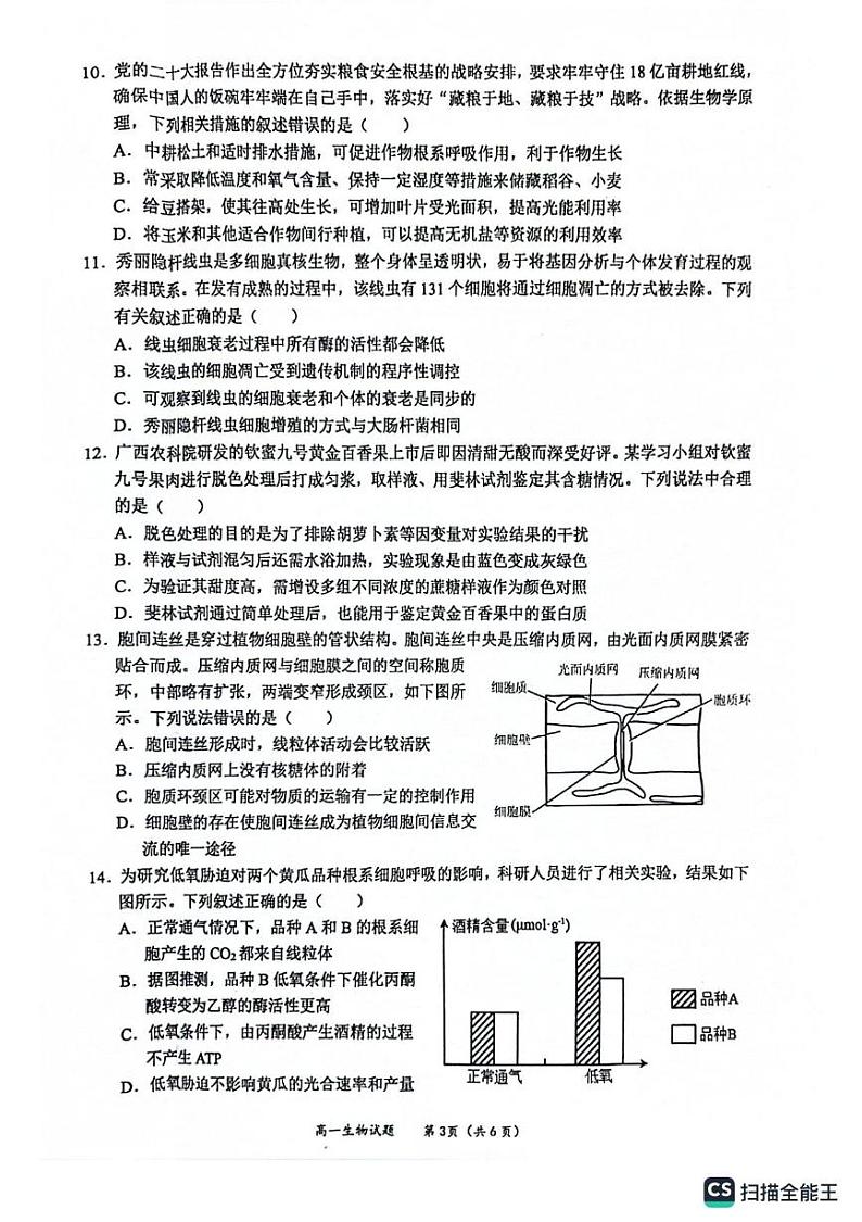 玉林市2024年秋季期高一期末教学质量检测生物试卷第3页