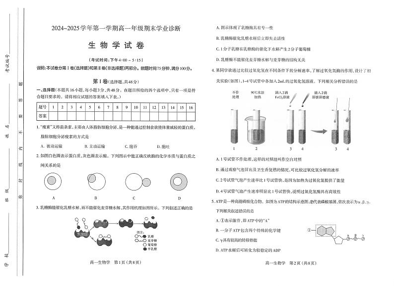 山西省太原市2024-2025学年高一上学期1月期末生物试题第1页