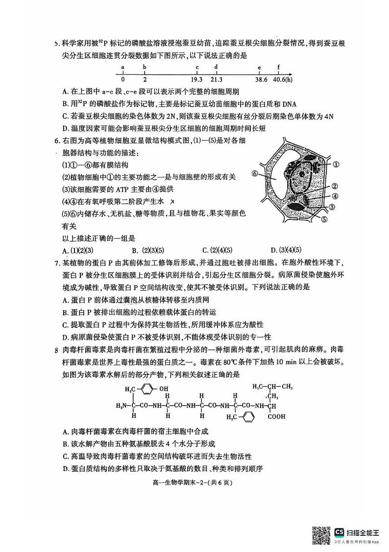 陕西省西安市临潼区2024-2025学年高一上学期期末考试生物试卷第2页