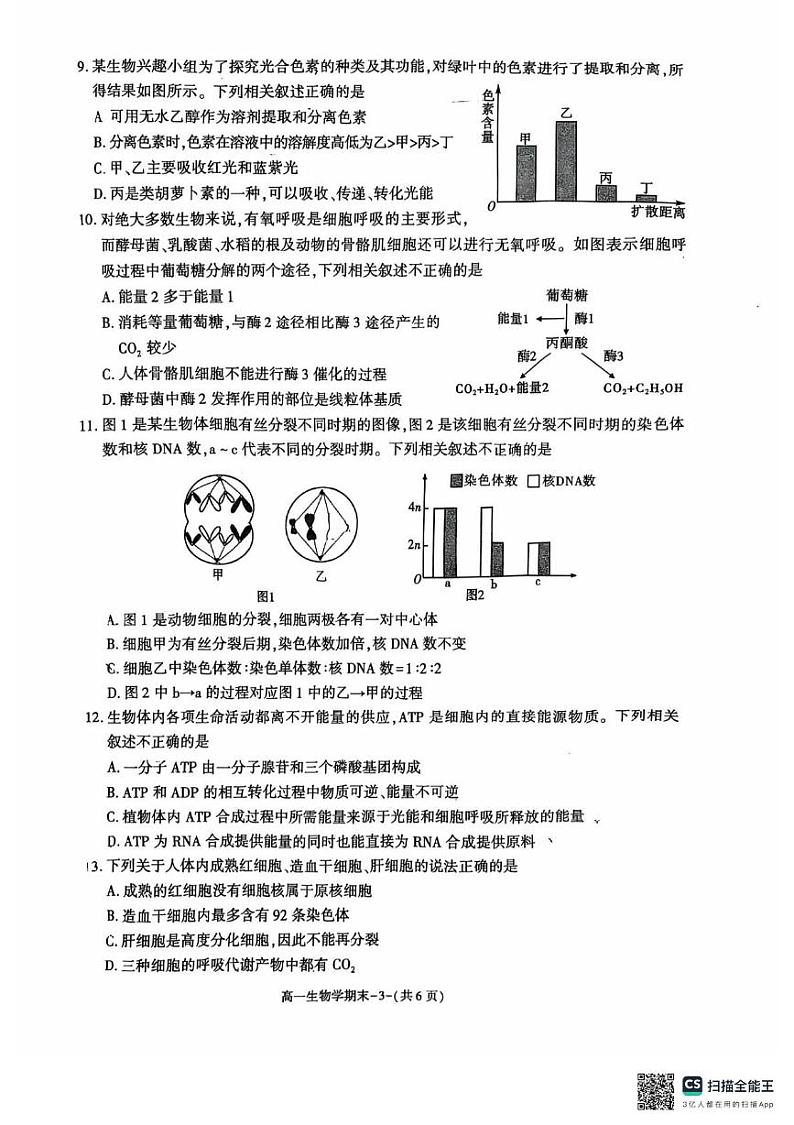 陕西省西安市临潼区2024-2025学年高一上学期期末考试生物试卷第3页