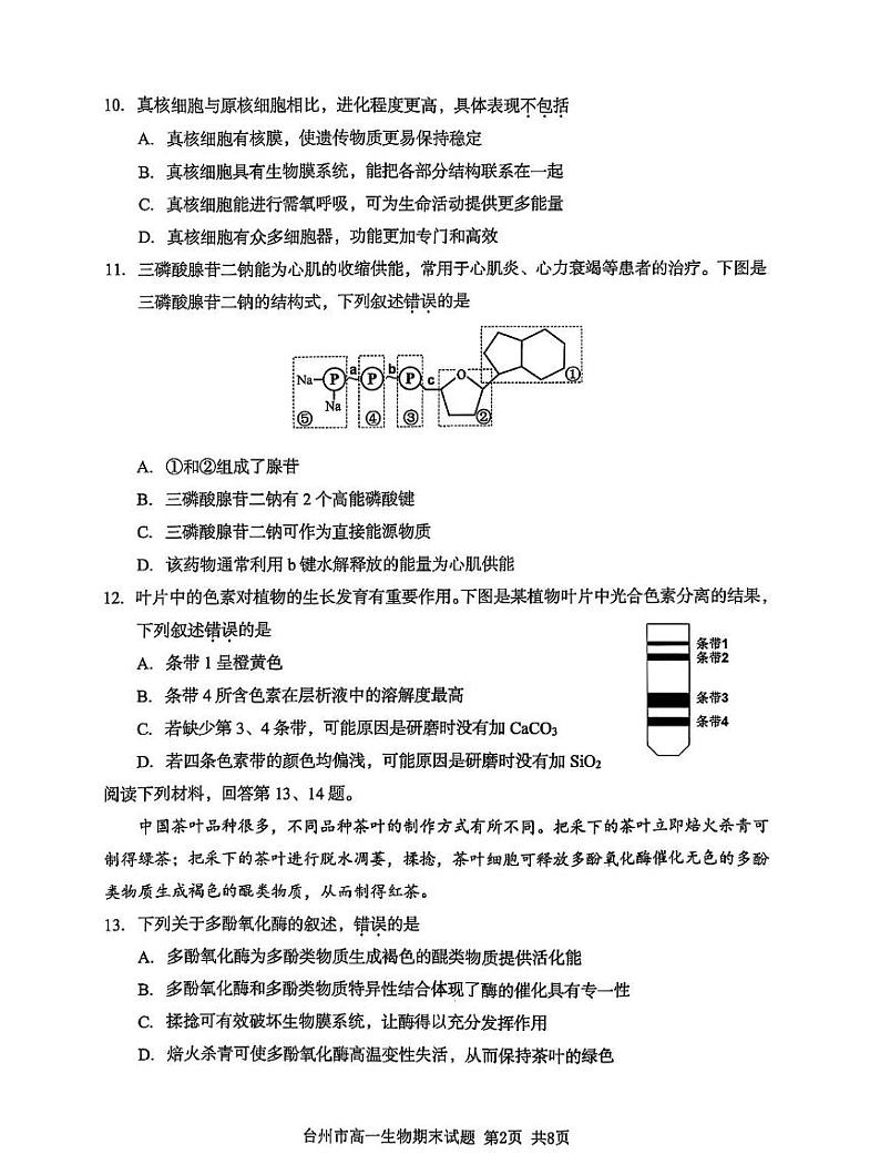 生物第2页