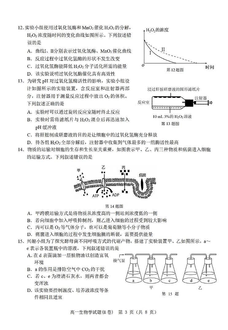 12.23高一生物试题（B卷）第3页