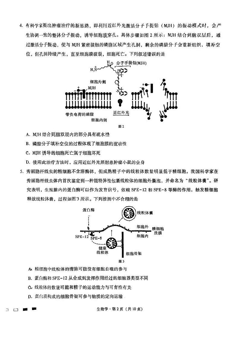 重庆市巴蜀中学2025届高考适应性月考卷（一）生物+答案第2页