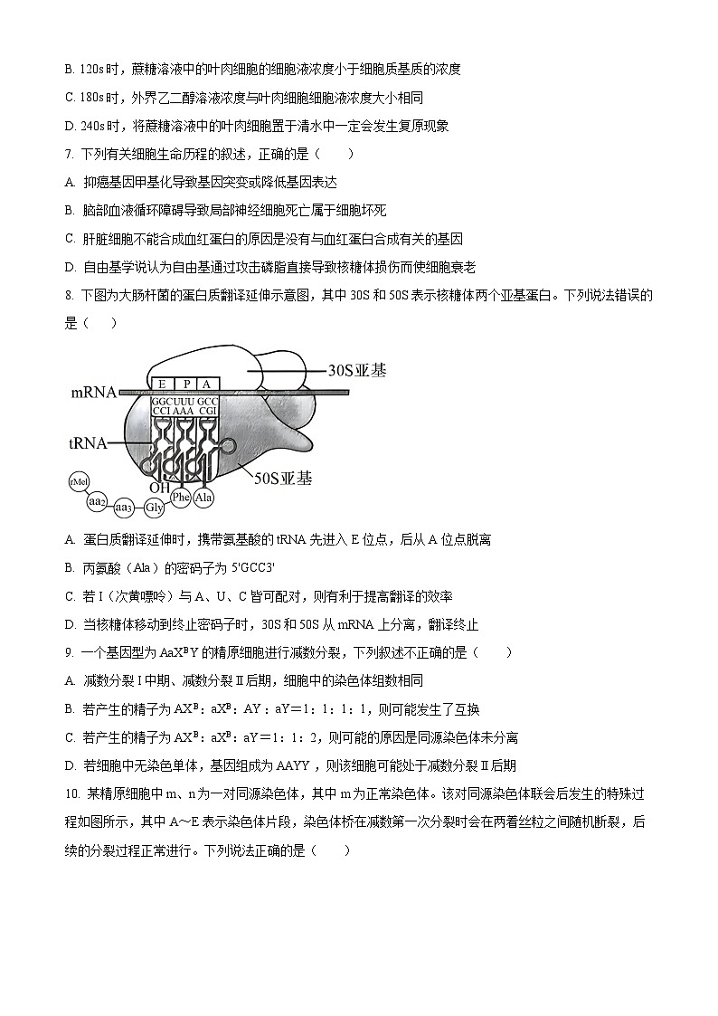 江苏省高邮市2024-2025学年2025届高三（上）学期10月学情调研测试生物试卷第3页