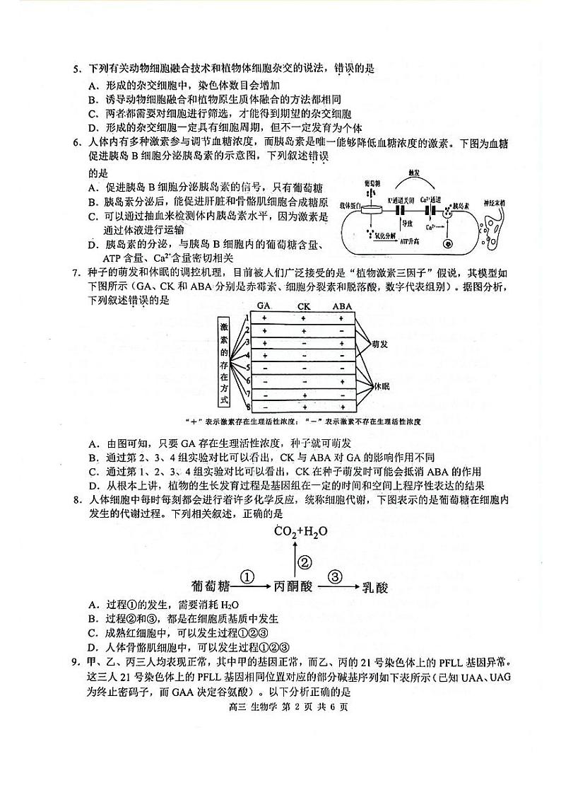 玉林2025届高三一模生物试卷第2页