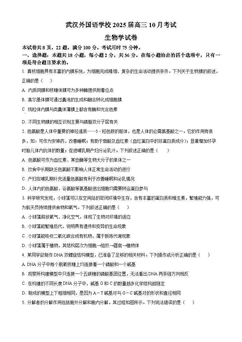 湖北省武汉外国语学校2025届高三上学期10月考试生物试题 Word版无答案第1页