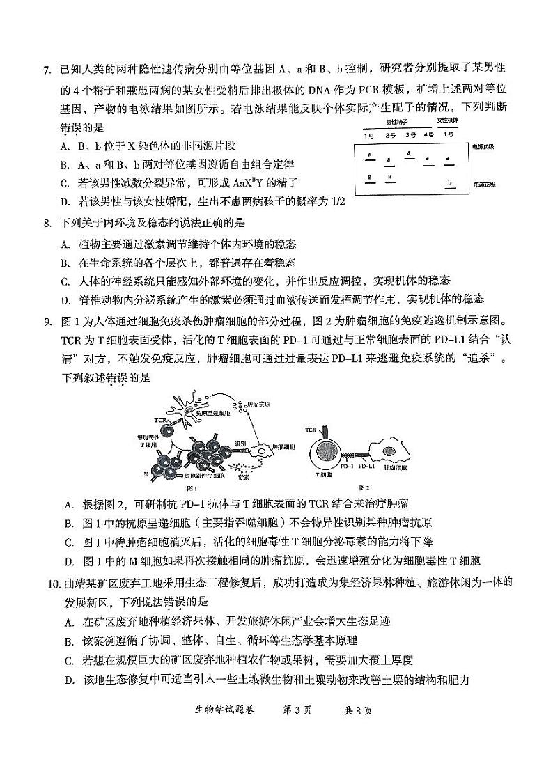 云南省曲靖市2025届高三上学期第一次教学质量监测生物第3页