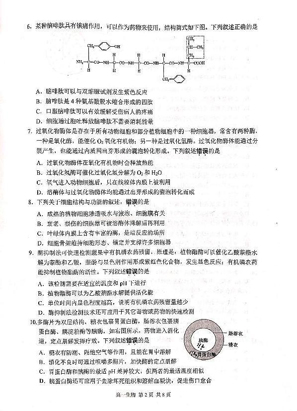 2025苏州高一上学期1月期末学业阳光指标调研试题生物PDF版无答案第2页