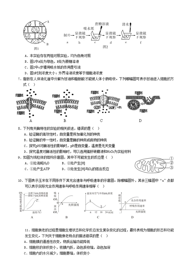 湖南省张家界市2024-2025学年高一上学期期末考试生物试题第2页