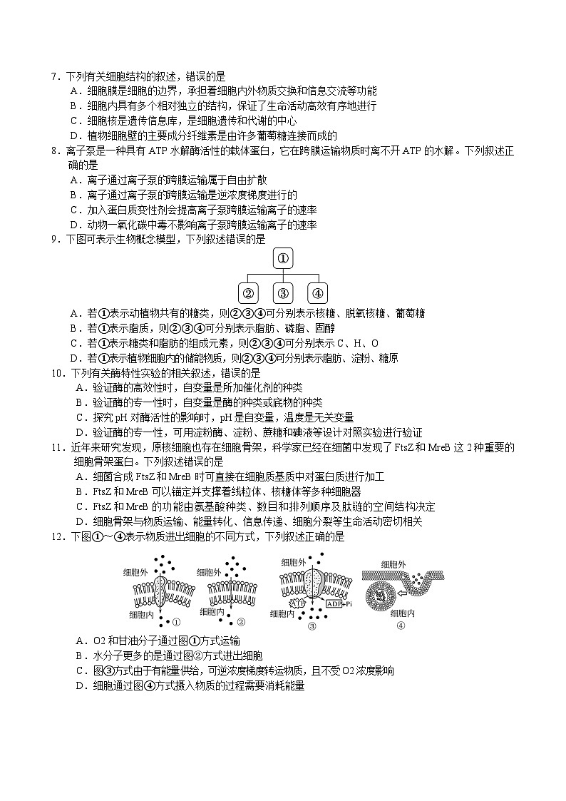 2025天津市五区县重点校高一上学期1月期末联考试题生物含答案第2页
