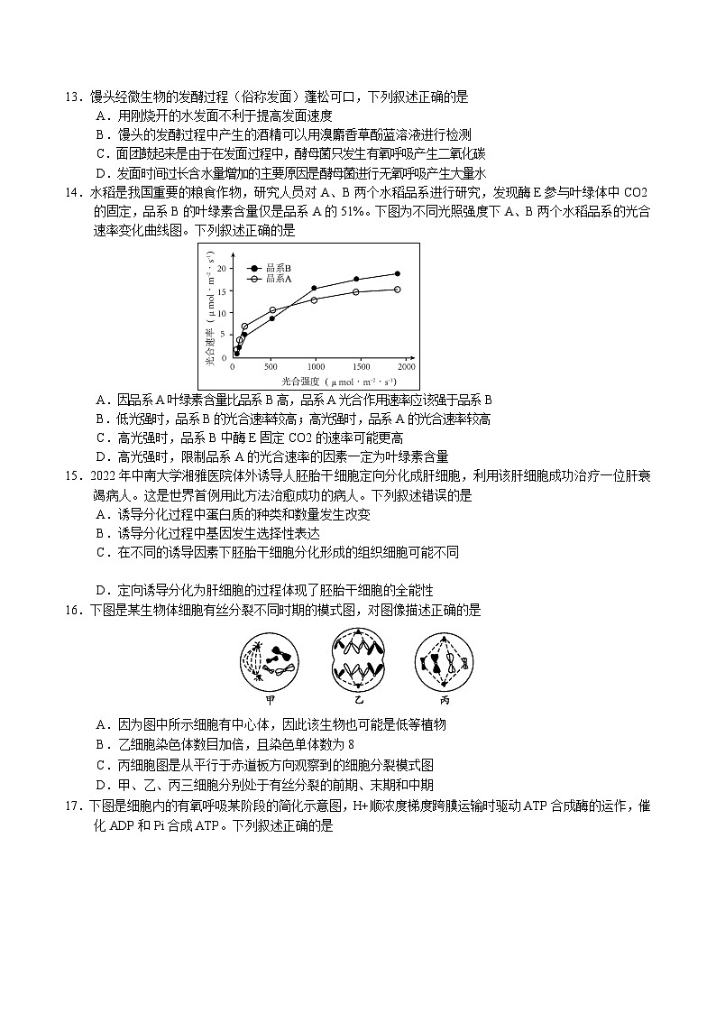 2025天津市五区县重点校高一上学期1月期末联考试题生物含答案第3页