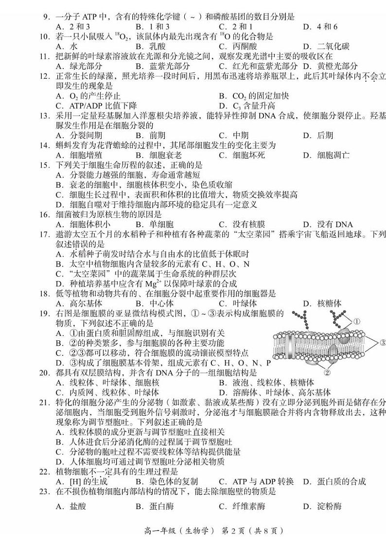 2025北京海淀区高一上学期期末考试生物PDF版含答案第2页