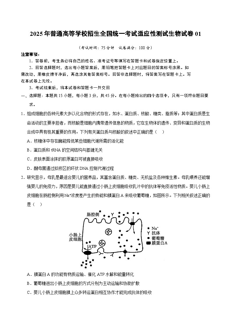 2025年普通高等学校招生全国统一考试适应性测试生物试卷01（含答案解析）第1页